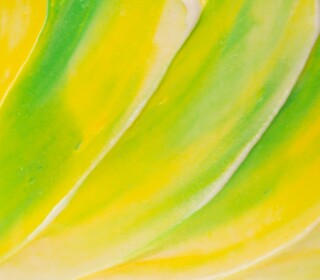 Additional Learning Support