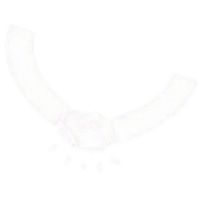 Outstanding Pastoral Support